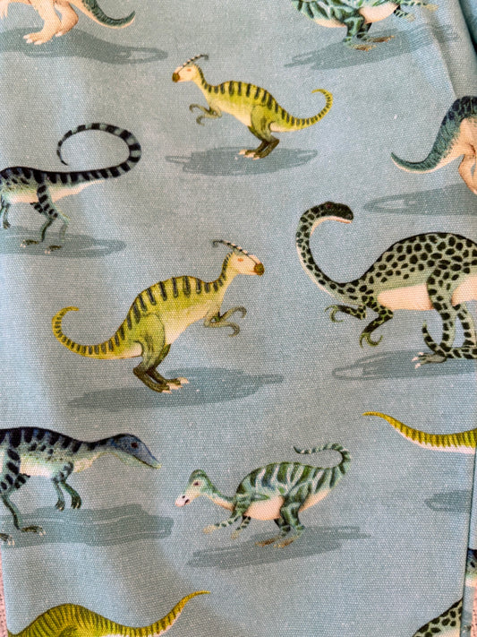 Dino Pants - Size 2