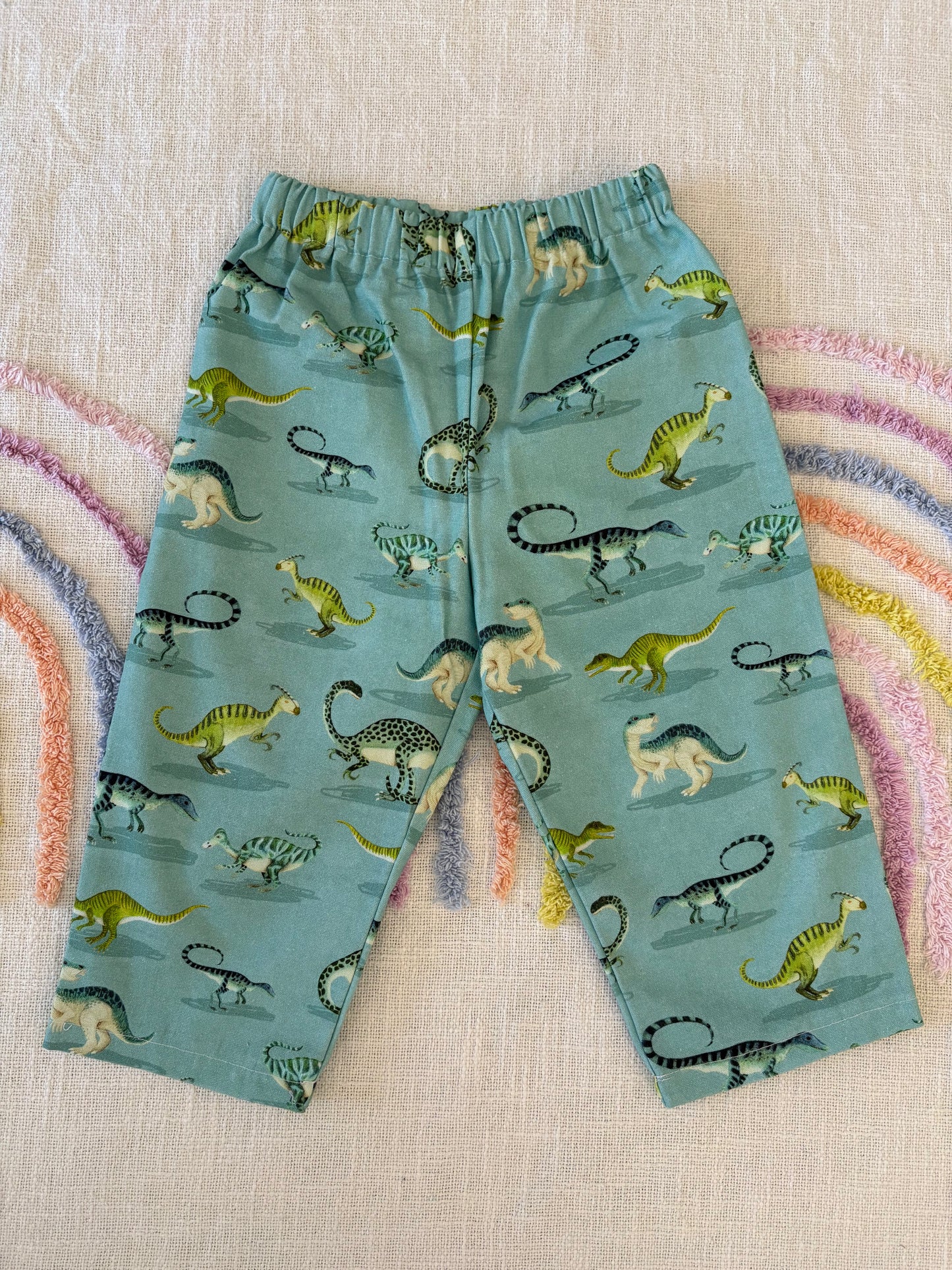 Dino Pants - Size 2