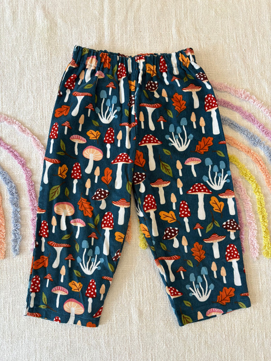 Mushy Love Corduroy Pants - Size 3